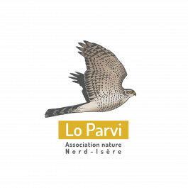 À La Croisée des Chemins