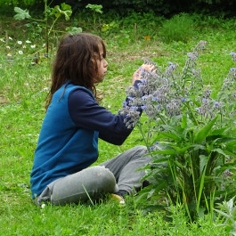 À La Croisée des Chemins
