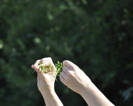 À La Croisée des Chemins