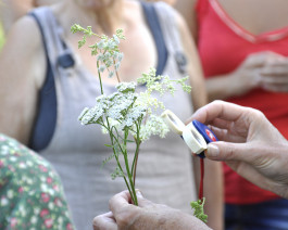 À La Croisée des Chemins