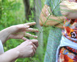 À La Croisée des Chemins