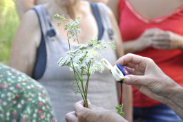 À La Croisée des Chemins