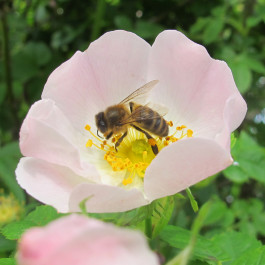 À La Croisée des Chemins
