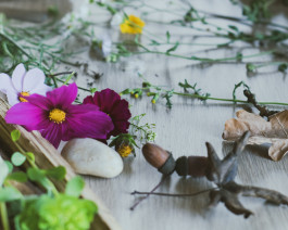 À La Croisée des Chemins