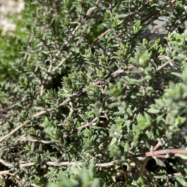 À La Croisée des Chemins