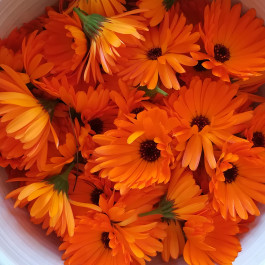 À La Croisée des Chemins