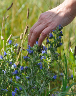 À La Croisée des Chemins